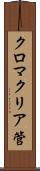 クロマクリア管 Scroll