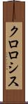クロロシス Scroll