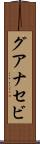 グアナセビ Scroll