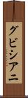 グビシアニ Scroll