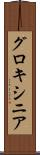 グロキシニア Scroll