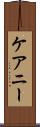ケアニー Scroll