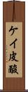 ケイ皮酸 Scroll
