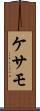 ケサモ Scroll