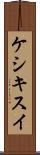 ケシキスイ Scroll