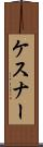ケスナー Scroll