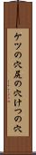 ケツの穴 Scroll