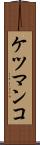 ケツマンコ Scroll