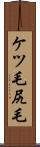 ケツ毛 Scroll