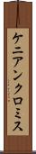 ケニアンクロミス Scroll