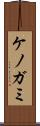 ケノガミ Scroll