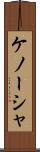 ケノーシャ Scroll
