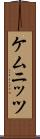 ケムニッツ Scroll