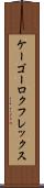 ケーゴーロクフレックス Scroll