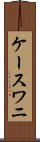 ケースワニ Scroll