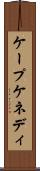 ケープケネディ Scroll