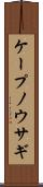 ケープノウサギ Scroll