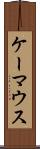 ケーマウス Scroll