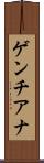 ゲンチアナ Scroll