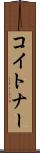 コイトナー Scroll