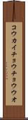 コウカイチョウチョウウオ Scroll