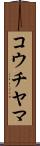 コウチヤマ Scroll