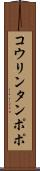 コウリンタンポポ Scroll