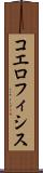 コエロフィシス Scroll