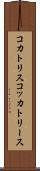 コカトリス Scroll