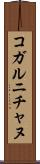 コガルニチャヌ Scroll