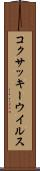 コクサッキーウイルス Scroll