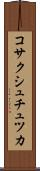コサクシュチュツカ Scroll