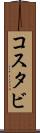 コスタビ Scroll