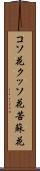 コソ花 Scroll