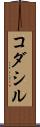 コダシル Scroll