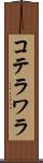 コテラワラ Scroll