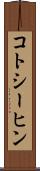 コトシーヒン Scroll