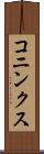 コニンクス Scroll