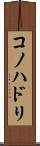コノハドリ Scroll