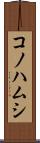 コノハムシ Scroll