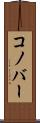 コノバー Scroll