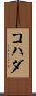 コハダ Scroll