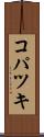 コパツキ Scroll