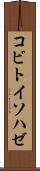コビトイソハゼ Scroll
