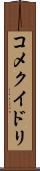 コメクイドリ Scroll