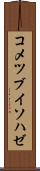 コメツブイソハゼ Scroll