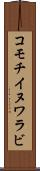 コモチイヌワラビ Scroll