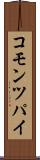 コモン・ツパイ Scroll