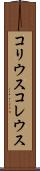コリウス Scroll