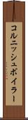 コルニッシュボイラー Scroll